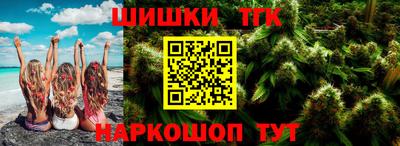 стаф Сланцы