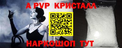 стаф Сланцы
