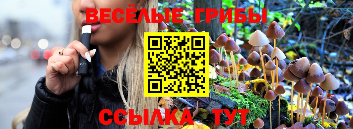 Псилоцибиновые грибы Magic Shrooms Майкоп